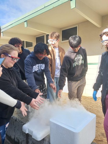 STEM Day ignites student curiosity