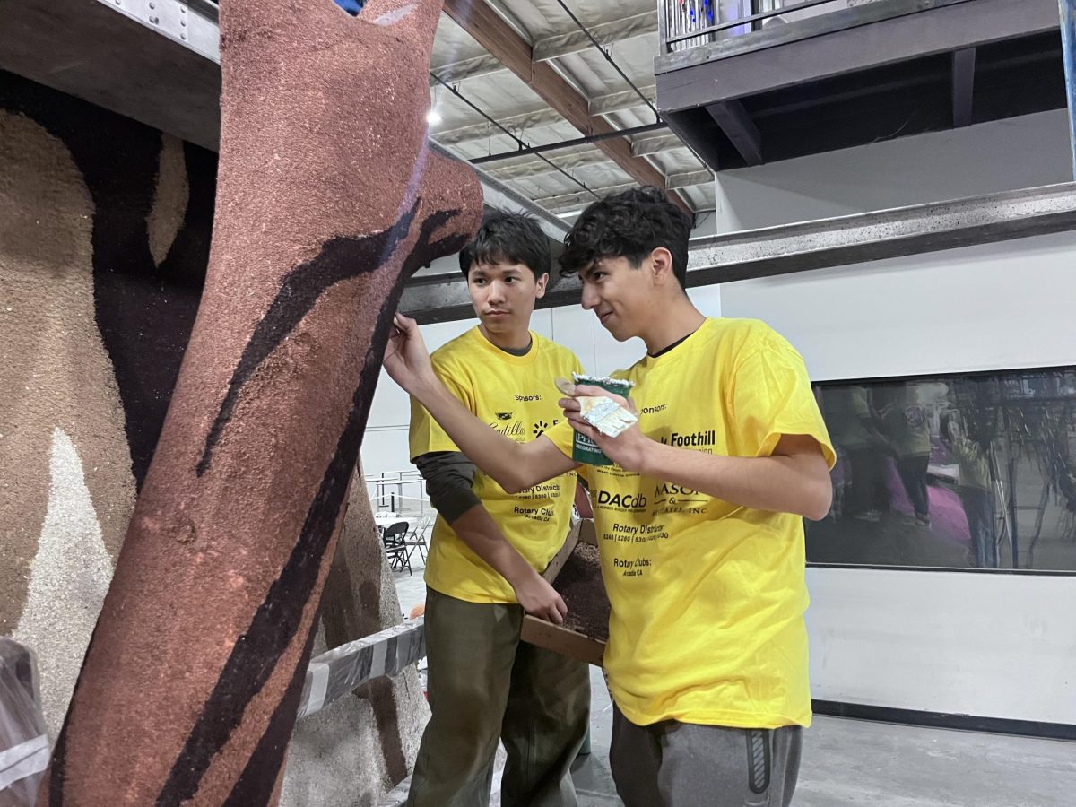 Juniors Miguel Guerrero and Michael Munoz glue on organic material to cover the scaffolding on the float.