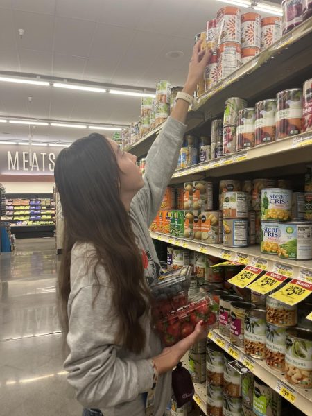 Junior Alexis Zwierzchwoski reaches for non-perishable items on her grocery run to contribute to Key Club's Canned Food Drive.
